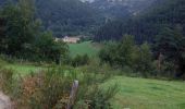 Tocht Stappen Val d'Arcomie - La vallée de la Truyère près de Loubaresse - Photo 1