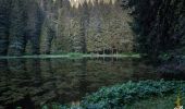 Tour Wandern Bellevaux - Lac de Pététoz, circuit depuis la Chèvrerie - Photo 1