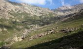 Excursión Senderismo Albertacce - Monte Albanu - Calasima - Photo 5