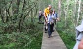Trail Walking Philippsbourg - Hanau Falkenstein Waldeck - Photo 1