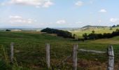 Tocht Fiets Villersexel - Boucle des Monts de l'Ognon (Variante) - Villersexel  - Photo 4