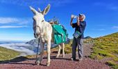 Tour Wandern Urdos - Les lacs d'Ayous dans le Parc National des Pyrénées en 3 jours - Photo 2