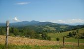 Randonnée Vélo Saint-Girons - Voie de Piémont - St-Girons - Photo 4