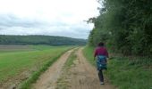 Trail Walking Flize - Balade entre Balaives-et-Butz et Boutancourt  - Photo 1