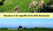 Tour Mountainbike Pouilly-les-Nonains - La Croix de Saint Martin de Boisy - Photo 5