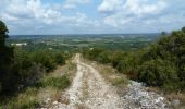 Tocht Stappen Collias - Vallon de Fressiniere - Collias - Photo 5