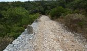 Tocht Stappen Collias - Vallon de Fressiniere - Collias - Photo 1