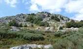 Excursión Senderismo Le Béage - Par les Sucs de Montfol et de la Lauzière - Le Béage - Photo 3