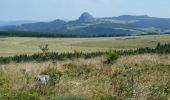 Excursión Senderismo Le Béage - Par les Sucs de Montfol et de la Lauzière - Le Béage - Photo 2