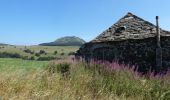 Randonnée V.T.T. Le Béage - Par les Sucs de Montfol et de la Lauzière - Le Béage - Photo 1