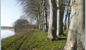 Trail Walking Angers - Prairies de la Baumette et de l'île Chevrière- Sainte Gemmes sur Loire - Photo 5