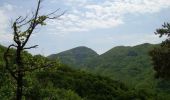 Tour Wandern Saou - Les Trois Becs  - Saou - Photo 5