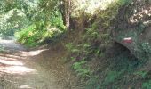 Trail Walking Berrien - Circuit du menhir - Berrien - Photo 4