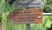 Trail Walking Berrien - Circuit du menhir - Berrien - Photo 3