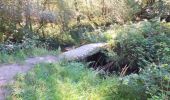 Trail Walking Berrien - Circuit du menhir - Berrien - Photo 1