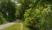 Tour Wandern Panazol - Trois lieux à la ronde - Panazol - Photo 3