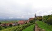 Tour Wandern Häusern (Oberelsass) - Balade à Husseren Les Châteaux - Photo 1