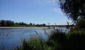 Randonnée Vélo Beaulieu-sur-Loire - Circuit des hameaux (Version longue) - Beaulieu sur Loire  - Photo 2