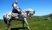 Tour Pferd Saint-Palais - Sentier des Contrebandiers - de St Palais à Ostabat-Asme au Pays Basque  - Photo 1