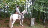 Trail Equestrian Lasse - Sentier des Contrebandiers - Lasse à Espila au Pays Basque - Photo 1