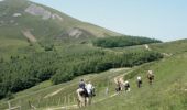 Trail Equestrian Banca - Sentier des Contrebandiers - Espila à Urepel au Pays Basque - Photo 2