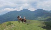 Trail Equestrian Urepel - Sentier des Contrebandiers - de Urepel au col d'Elhorrieta au Pays Basque - Photo 1