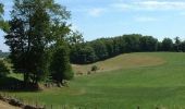 Percorso Mountainbike Lauresses - Circuit des chemins creux et châtaigniers,-  Lauresses - Photo 2