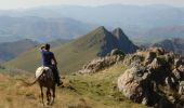 Tour Pferd Banca - Sentier des Contrebandiers - du Col d'Ehorrieta à St - Martin d'Arossa au Pays Basque - Photo 3