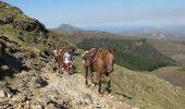 Tocht Paard Banca - Sentier des Contrebandiers - du Col d'Ehorrieta à St - Martin d'Arossa au Pays Basque - Photo 2