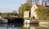 Tocht Stappen Beaulieu-sur-Loire - De l'Eau et des Vignes - Beaulieu-sur-Loire - Photo 5