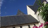 Tocht Stappen Beaulieu-sur-Loire - De l'Eau et des Vignes - Beaulieu-sur-Loire - Photo 1