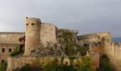 Trail Walking Wintzenheim - Du Château de Pflixbourg au Château du Hohlandsbourg - Photo 5