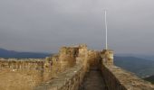 Trail Walking Wintzenheim - Du Château de Pflixbourg au Château du Hohlandsbourg - Photo 4