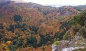 Trail Walking Orcival - De Douharesse au Puy de l'Ouire et à la roche Tuilière - Photo 3