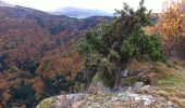Randonnée Marche Orcival - De Douharesse au Puy de l'Ouire et à la roche Tuilière - Photo 2