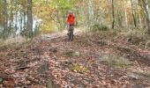 Trail Mountain bike Revin - Révin - Les Bois Bryas - Ri d'Alyse et d'Oignies - Photo 5