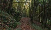 Randonnée V.T.T. Revin - Révin - Les Bois Bryas - Ri d'Alyse et d'Oignies - Photo 3