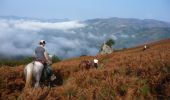 Randonnée Cheval Baztan - Sentier des Contrebandiers - Col des Veaux à Sare au Pays Basque  - Photo 3