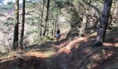 Randonnée Cheval Sare - Sentier des Contrebandiers - de Sare à Biriatou au Pays Basque - Photo 1