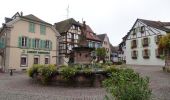 Excursión Senderismo Eguisheim - La Ronde d'Eguisheim et son Sentier Viticole - Photo 5