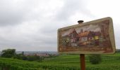 Tocht Stappen Eguisheim - La Ronde d'Eguisheim et son Sentier Viticole - Photo 1