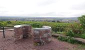 Percorso Marcia Hattstatt - La promenade du Grand Cru Hatschbourg - Hattstatt - Photo 4