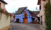 Percorso Marcia Hattstatt - La promenade du Grand Cru Hatschbourg - Hattstatt - Photo 2