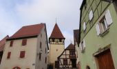 Percorso Marcia Hattstatt - La promenade du Grand Cru Hatschbourg - Hattstatt - Photo 1