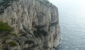 Tour Wandern Cassis - Des Calanques de Port-Miou aux falaises du Devenson - Cassis - Photo 4