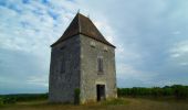 Tour Mountainbike Villeneuve-de-Duras - Saint-Léger, entre bois, vignes et vergers de pruniers - Photo 4