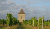 Tour Mountainbike Villeneuve-de-Duras - Saint-Léger, entre bois, vignes et vergers de pruniers - Photo 3