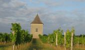 Randonnée Cheval Villeneuve-de-Duras - Saint-Léger, entre bois, vignes et vergers de pruniers - Photo 4