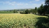 Randonnée V.T.T. Saumont - Le Saumont, randonnée autour du mont boisé - Photo 4