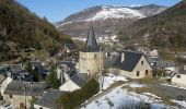 Tocht Fiets Campan - Col d'Aspin et Hourquette d'Ancizan  - Photo 3